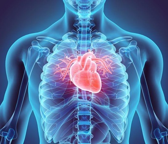 How smoking causes heart disease
